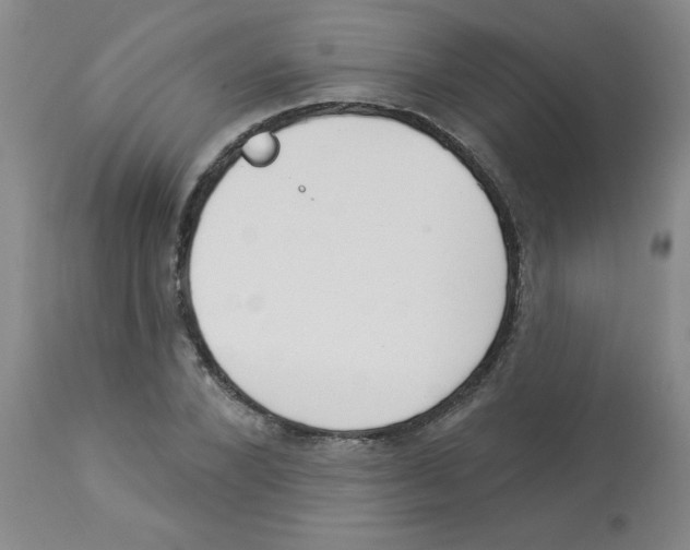 X0000112840880200909181710