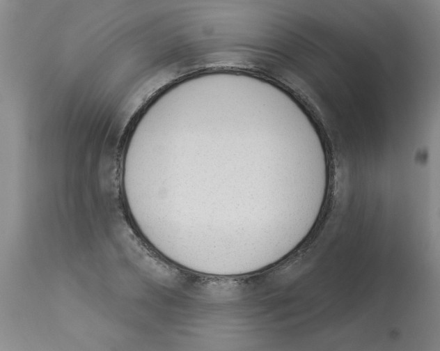 X0000112840882200909181710