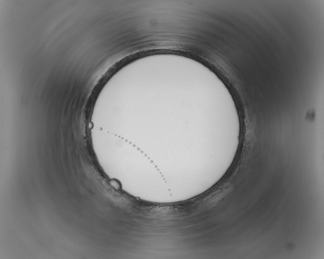 X0000112840883200909181710