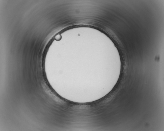 X0000112840884200909181710