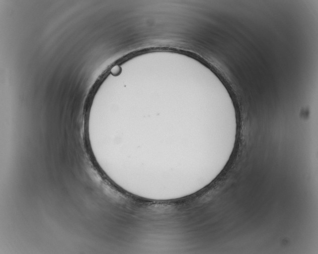 X0000112840888200909181710