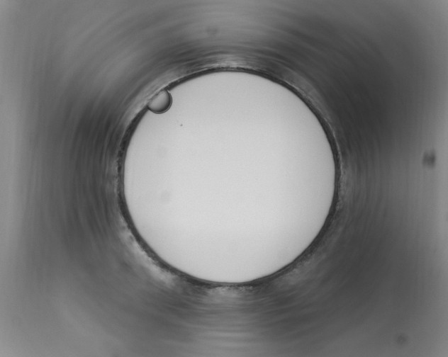 X0000112840898200909181710