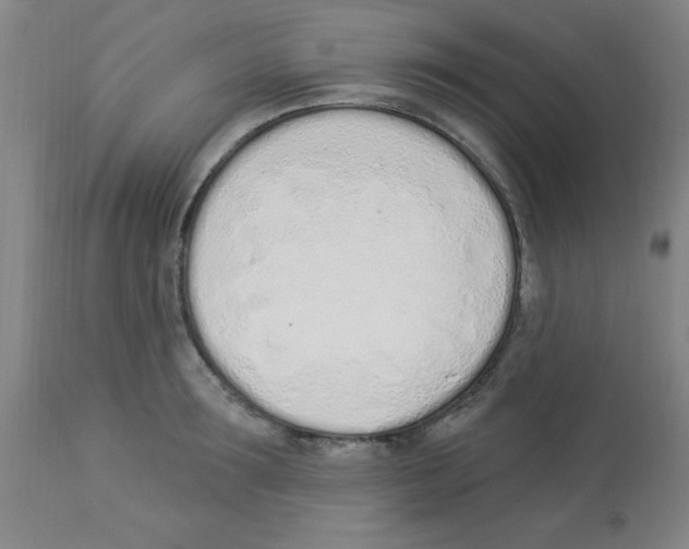 X0000112840899200909181710