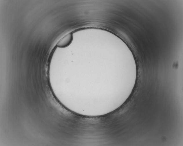 X0000112840900200909181710