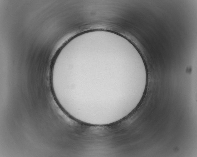 X0000112840902200909181710