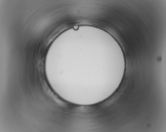 X0000112840906200909181710