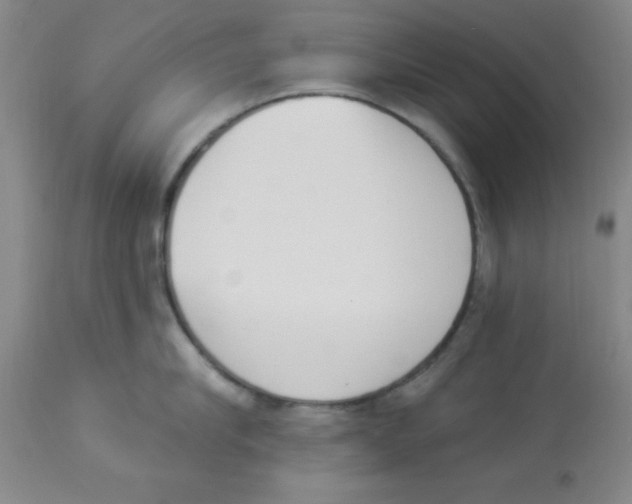 X0000112840910200909181710