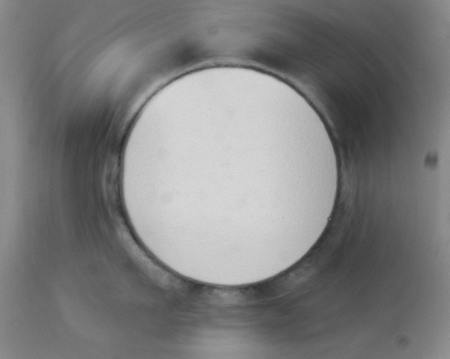 X0000112840911200909181710