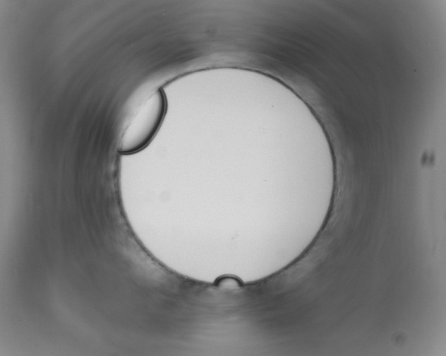 X0000112840912200909181710