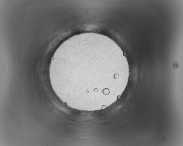 X0000112840913200909181709