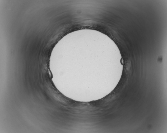 X0000112840916200909181709