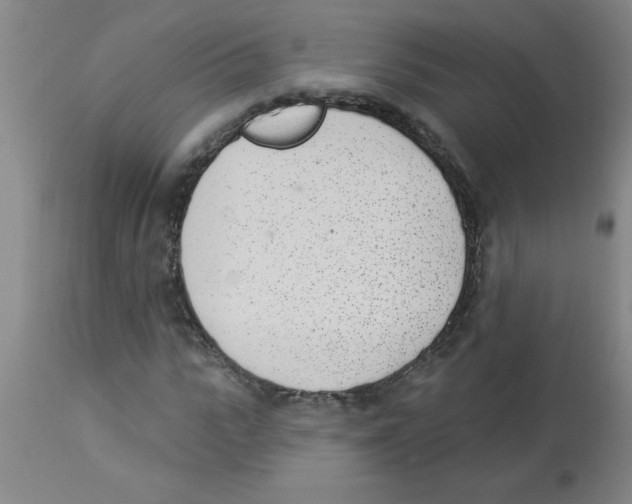 X0000112840919200909181709