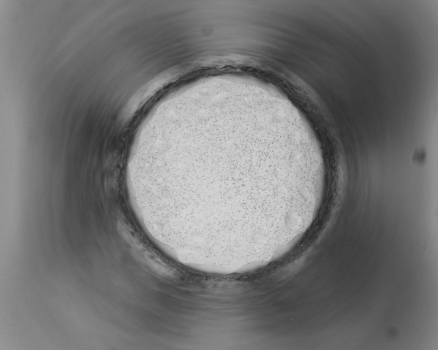 X0000112840921200909181709