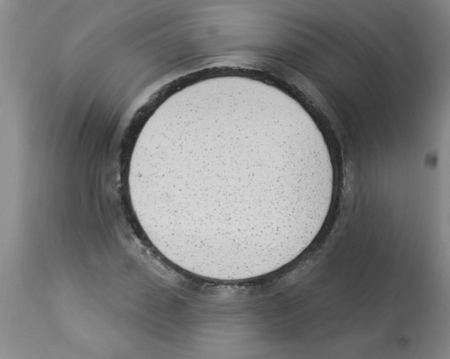 X0000112840923200909181709