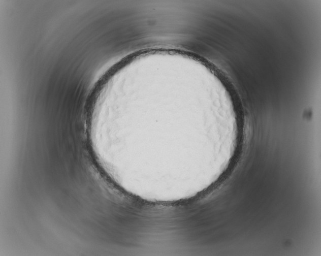 X0000112840925200909181709