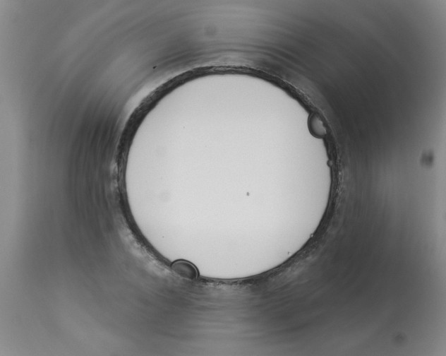 X0000112840928200909181709