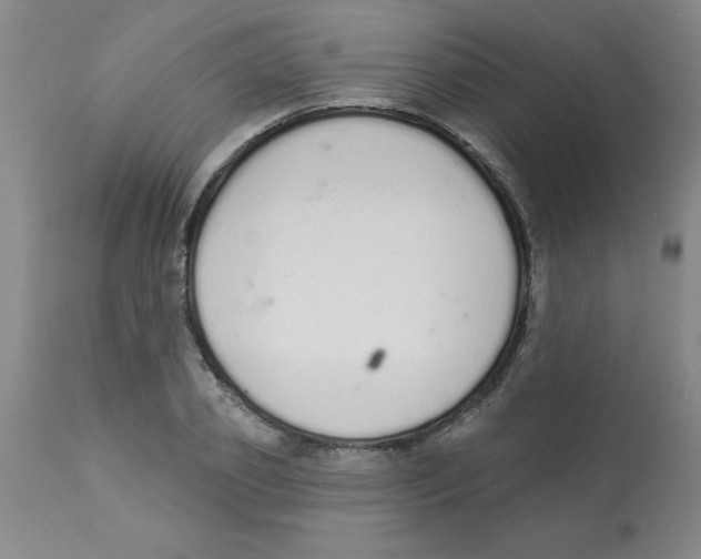 X0000112840933200909181709