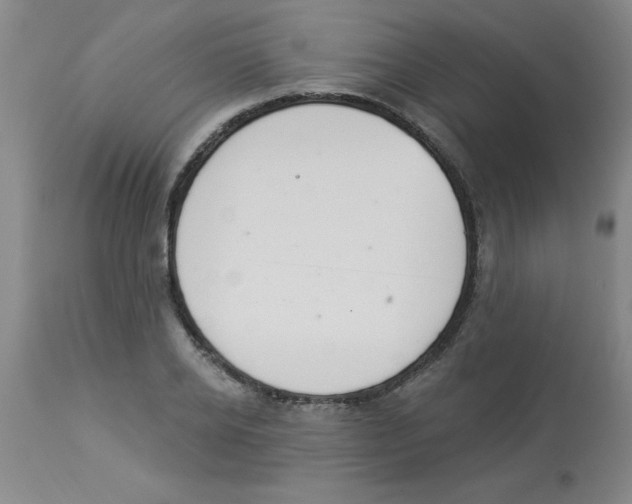 X0000112840934200909181709