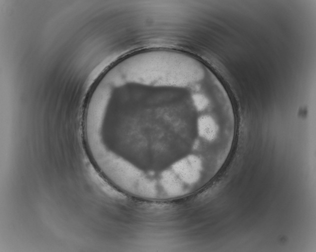 X0000112840941200909181709