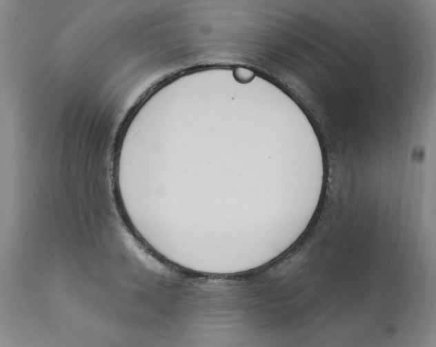 X0000112840942200909181709