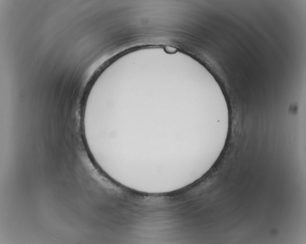 X0000112840944200909181710