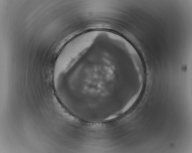 X0000112840945200909181710