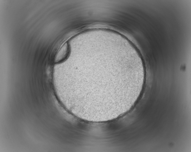 X0000112840953200909181710