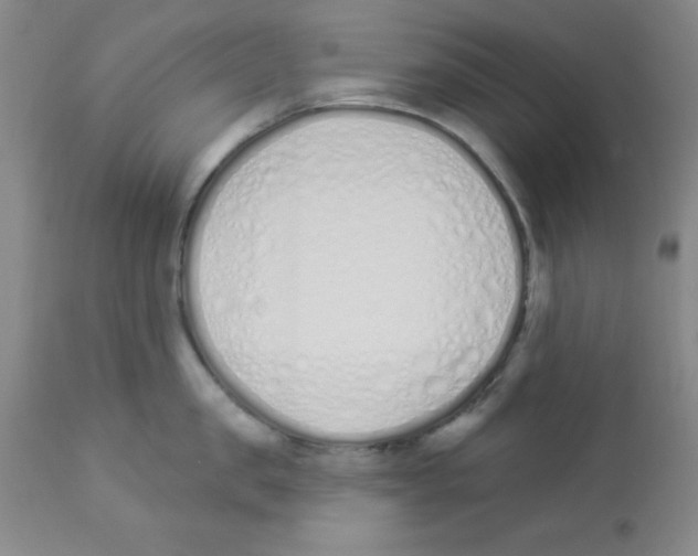 X0000112840957200909181710