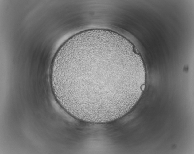 X0000112840958200909181710