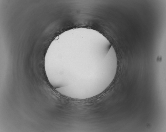 X0000112840961200909181709