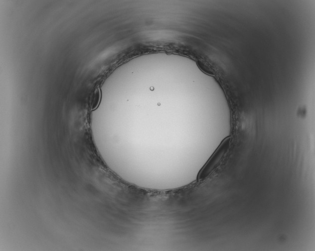 X0000112840965200909181709