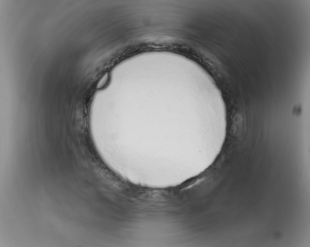 X0000112840966200909181709