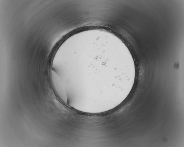 X0000112840973200909181709