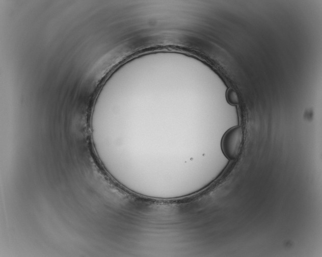 X0000112840977200909181709