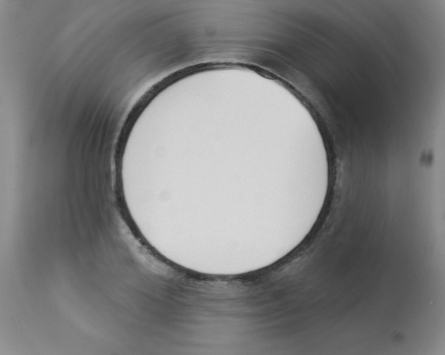 X0000112840980200909181709