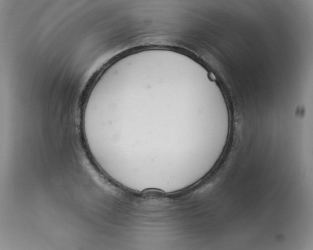 X0000112840981200909181709