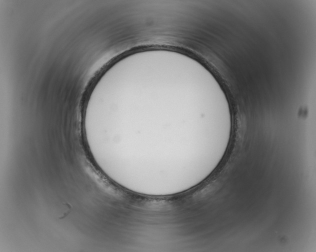 X0000112840982200909181709