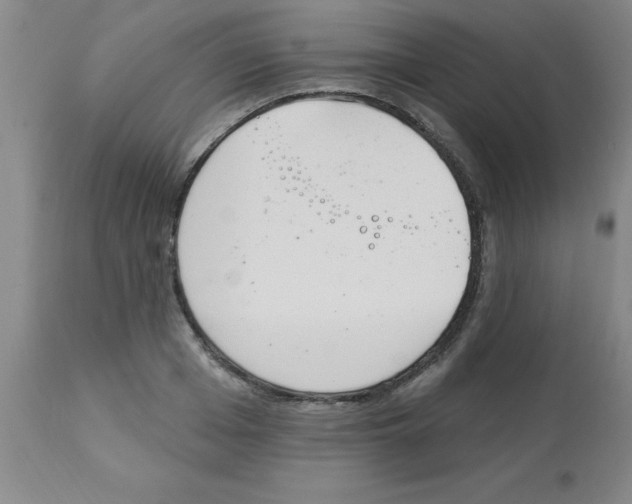 X0000112840985200909181709