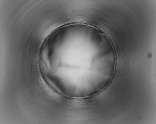 X0000112840989200909181709