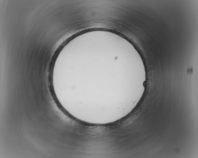 X0000112840991200909181708