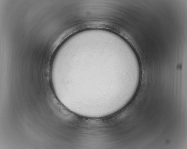 X0000112840994200909181708