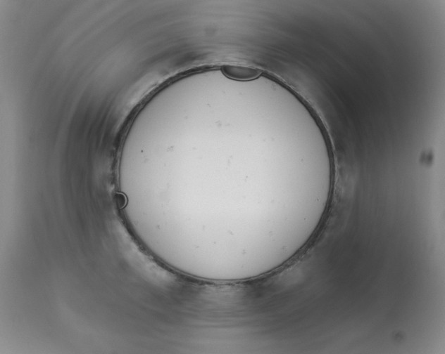 X0000112840997200909181708