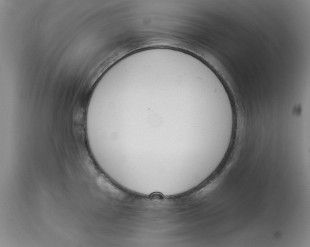 X0000112841001200909181708