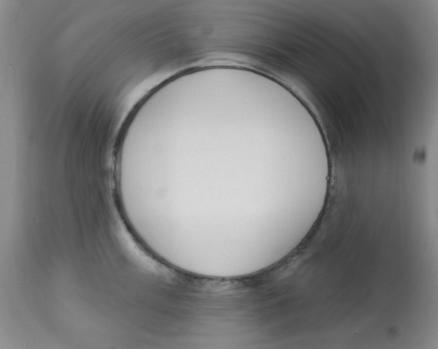 X0000112841003200909181708