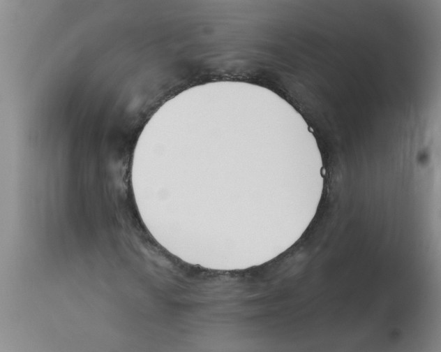 X0000112841010200909181708