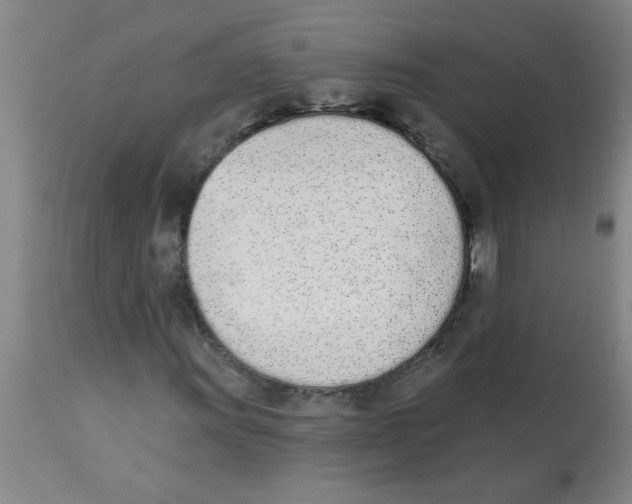 X0000112841011200909181708