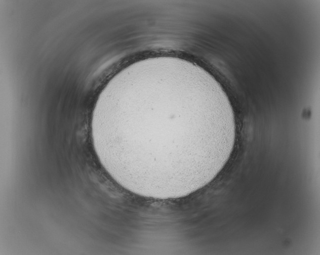 X0000112841015200909181708