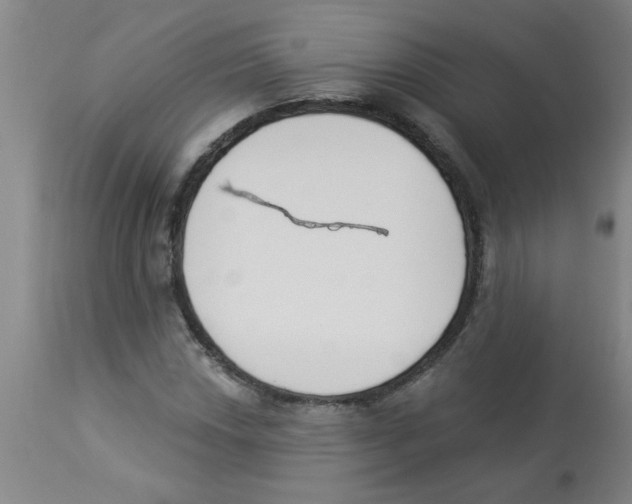 X0000112841018200909181708