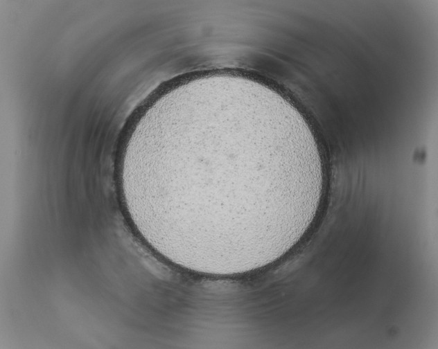 X0000112841023200909181708