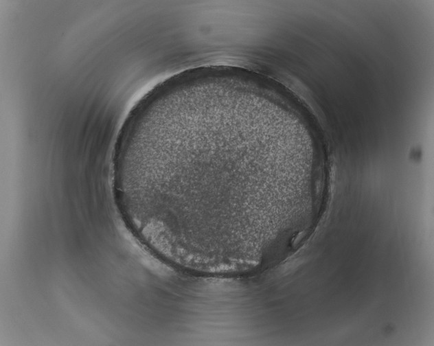 X0000112841024200909181708